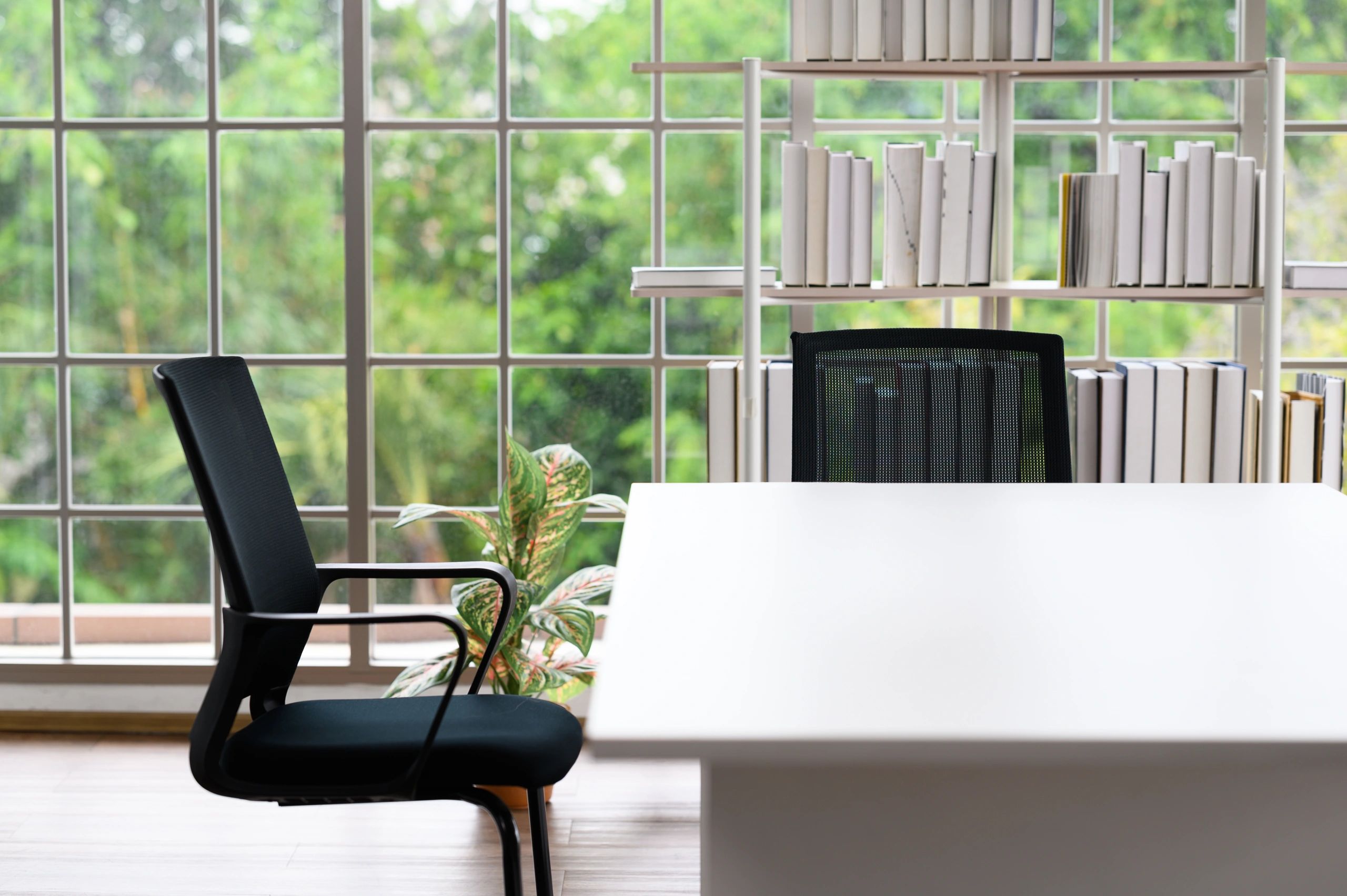 Clean office workspace with natural light